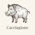 Cacciagione cinghiale