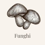 funghi