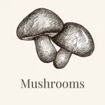 funghi